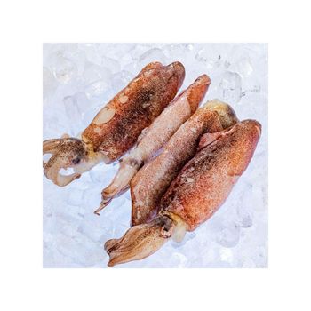Frozen Fresh Illex Squid Carefully Processed Marine Catch Delivering Superior Texture For Wholesale Seafood Import - TOSOH INTERNATIONAL - South Africa
