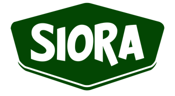 Walnut from Siora Walnut - Siora - Serbia