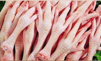 Wholesale Halal chicken feet(chicken paws) from Growlentis Enterprise Limited Wholesale Halal chicken feet(chicken paws) - Growlentis Enterprise Limited - Kenya