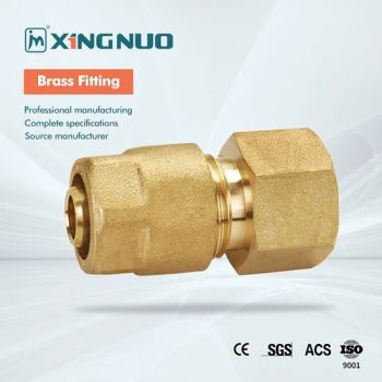 Quick-Connect Female S20*20 Dimension Brass Screw Pipe Fitting for Pump Connections - TAIZHOU XINGNUO TECHNOLOGY CO., LTD. - China