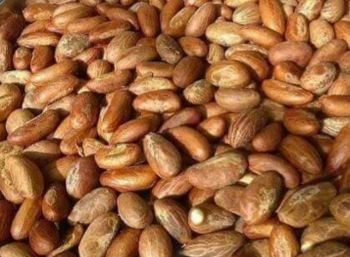 Bitter kola from Favdip Global Resources Ltd Bitter kola – product photo, Bitter Kola Nut products found from trusted suppliers, wholesalers, manufacturers & exporters Listing