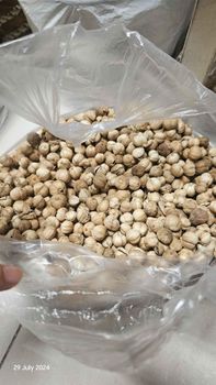Premium white and brown Cardamom 12% water content size 8-9 mm from Bimantara Global Premium white and brown Cardamom 12% water content size 8-9 mm - Bimantara Global - Indonesia