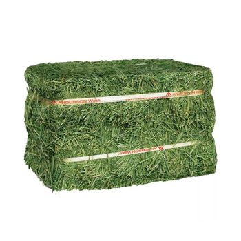 Quality alfalfa hay bays / Alfalfa pellets / Dehydrated Alfalfa cubes timothy hay from GOLDEN STAR BV Quality alfalfa hay bays / Alfalfa pellets / Dehydrated Alfalfa cubes timothy hay - GOLDEN STAR BV - South Africa