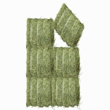 Feed Grade Timothy Grass Hay-High Protein Rich Nutrition Fresh Leaf Color Bulk Supply for Cattle Horse & Fish Feed - TRADECENTRIC LLC - United States