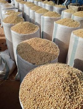 Soya Beans - King Bemma Global Resources Limited  - Nigeria