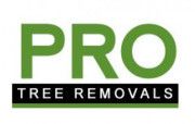 Product - Pro Tree Removal Brisbane - Australia