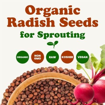 Organic Radish Seeds for Sprouting - Njang Investments Limited - Kenya