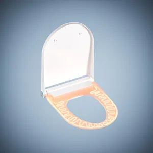 Luxury Design Chaozhou Factory Automatic Heated Seat PP Smart Toilet - Guangdong Youyuan Trading Co., Ltd. - China