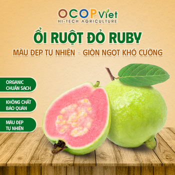 Ổi Ruột Đỏ Ruby - Ruby Red Flesh Guava – product photo, Fresh Red Guava products found from trusted suppliers, wholesalers, manufacturers & exporters Listing