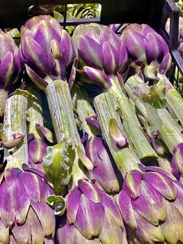 artichokes Address Egypt Packaging plastic - The Egyptian International ALL Agency for exporting - Egypt