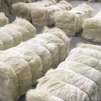 Selected Sisal Fiber For Agricultural Twine Baler String Nursery Support Products And Crop Binding Materials - TOSOH INTERNATIONAL - South Africa