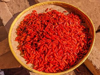 Premium Bird Eye Chilli from Madagascar (Dried & Powder) - EDEN CHILLI - Madagascar