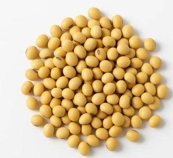 Soyabean - Shanv - Kenya
