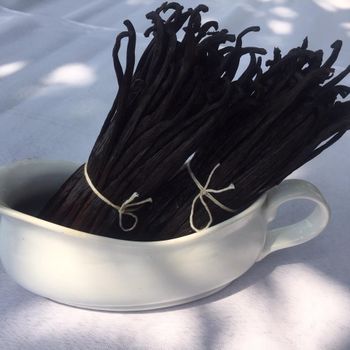 RENDAH Grade-2 Best Quality 14-15.9 cm Dried Vanilla Beans Indonesian Bourbon Pods Hot Selling Competitive Price from Rendah Vanilla RENDAH Grade-2 Best Quality 14-15.9 cm Dried Vanilla Beans Indonesian Bourbon Pods Hot Selling Competitive Price – product photo, Dried Food Beans products found from trusted suppliers, wholesalers, manufacturers & exporters Listing