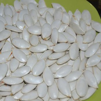 quality shine skin/snow white pumpkin seeds for sale Grade AA Style Dried Processing Type Raw Type Pumpkin Kernel Address Please ask - KOFONS BUSINESS SOLUTIONS PTY LTD - South Africa