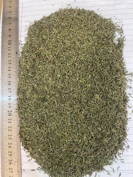 Thyme - Roselle herbs - Egypt
