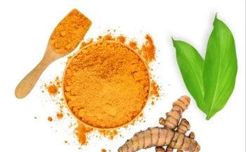 Natural Curcumin Extract Powder - SHREE SAI BIOTECH - India