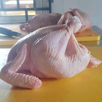 Halal Whole Chicken Frozen Chicken Body IQF 10kg Premium Quality Vacuum Pack Wholesale Price Fast Delivery - CPW TRADE LTD - United Kingdom