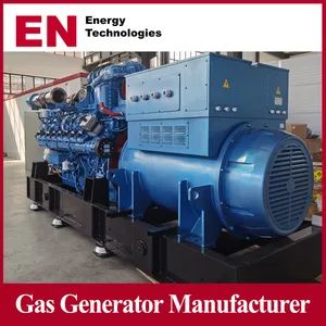 1300kw Commercial OEM LPG Gas Diesel CNG Shangchai/Baudouin/Deutz /Ste Yr/Weichai/Yuchai/Jichai/Cum Mins/Pakins Generator - Qingdao En Energy Technology Co., Ltd - China