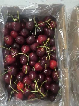 Cherry Pure (Tart Cherry Powder / Extract) Moisture Content ≤ 5% Brix 60–65% (if Juice Powder) Solubility 100% Soluble In - BF GLOBAL TRADING (PTY) LTD - South Africa