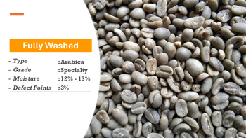 Sumatra Gayo Arabica Green Coffee Beans, Fully Washed