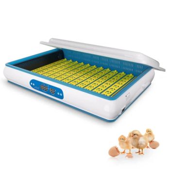 Hhd Automatic Small Mini Chicken Quail Egg Incubator 100 Eggs - Nanchang Howard Technology Co., Ltd. - China