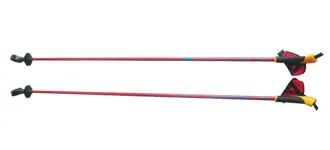 Ski Pole (YB-110) Origin China Model NO. YB-110 Payment Terms: T/T HS Code 6602000090 Min. Order: 1,000 Pieces Transport Package: PP - Ninghai Yongbo Stationery And Sports Goods Co.,Ltd. - China