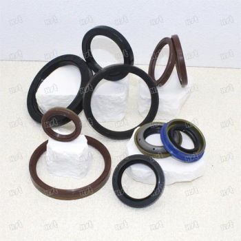 Hydraulic Oil Seals Motorcycle Engine Rubber Front Fork Oil Seal for 32*44*10.5 - Hebei Xinshitai Seals Co., Ltd. - China