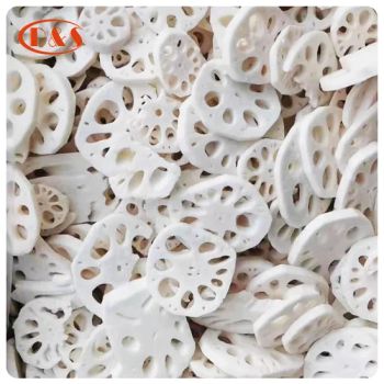 High Quality Chinese Freeze Vegetable Frozen IQF Lotus Root Prices for Sale - QINGDAO DEESHENGHENGXIN FOOD CO., LTD. - China