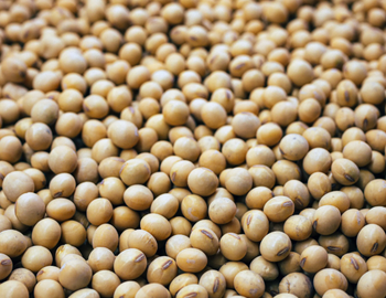 Soybeans - Davis Trade & Commodities - United States
