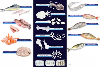 SUBAITI FISH – product photo, Fish products found from trusted suppliers, wholesalers, manufacturers & exporters Listing