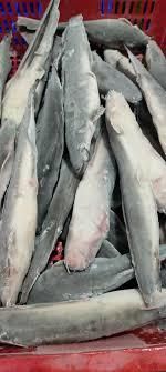 Frozen Whole Catfish Type CIF/FOB Texture Natural Flavor Natural Flavor Packaging Vacuum-packed Preparation Status Cleaned, Gutted, And Ready To Cook - malter group - Tanzania