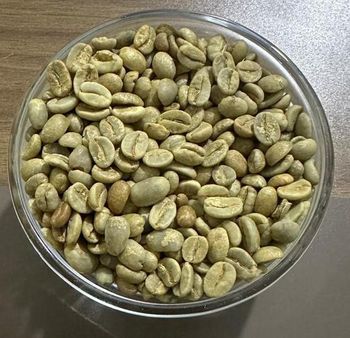 Arabica Green Coffee Beans from Mackwin Chemicals Uganda LImited Arabica Green Coffee Beans – product photo, Long Green Beans products found from trusted suppliers, wholesalers, manufacturers & exporters Listing