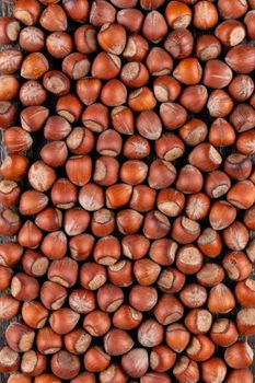 Organic Fresh Sweet Chestnut Dark Chestnuts Dried Raw Food for Eating Wholesale Supply - BF GLOBAL TRADING (PTY) LTD - South Africa