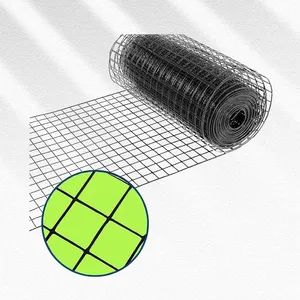 Durable Plastic Coated Welded Wire Mesh with Strong Corrosion Resistance for Fence - Hebei Peiling Tech. Co., Ltd. - China