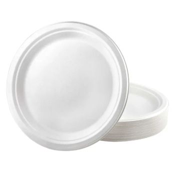 Disposable Dinnerware Set Biodegradable Sugarcane Plate Tableware and Dinner Plates Knives - ECOLIFE CO., LTD. - China