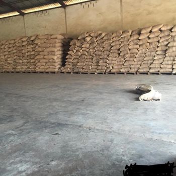 Cocoa Bean – product photo, Cocoa Bean Shell products found from trusted suppliers, wholesalers, manufacturers & exporters Listing