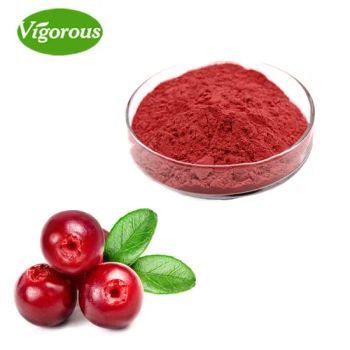 Good Flavor Pure Natural Cranberry Fruit Juice Powder - Changsha Vigorous-Tech Co., Ltd. - China