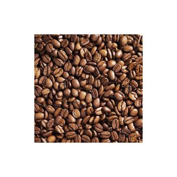 High quality robusta coffee beans prepared for wholesale buyers needing steady volume - MASI TRADING GMBH - Germany