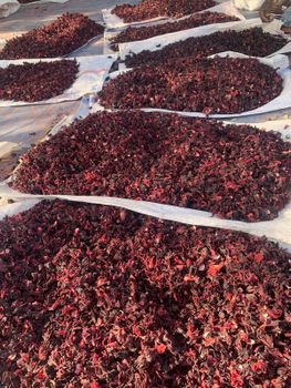 Hibiscus Flower Flor De Jamaica Purity 98% Transit Time 30 To 40 Days Delivery Time To Pol 1 Week Shipment Availability Immediate - Zaph & Zoe Export Company - Nigeria
