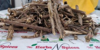 Mulethi (Licorice root), Glycyrrhiza glabra, Licorice or Liquorice, Yashtimadh - Sinhal Herbs - India