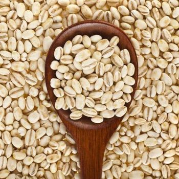 Barley - FIN ALAMAK  - Russian Federation