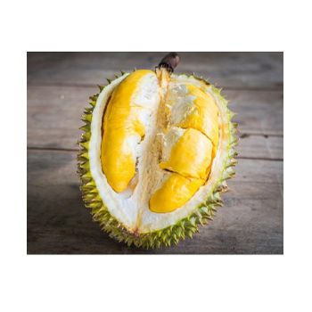 Good Price Fresh Durian Fruit from top 1 supplier in Vietnam Wholesale in bulk from EXIMGROUP - EXIMGROUP - Vietnam