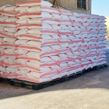 Premium High-Gluten Wheat Flour 50kg PP Bag Milling ISO/HALAL Certified | Expert Makers Bakers Global Supplier Private Label - FK GLOBAL TRADING - Netherlands