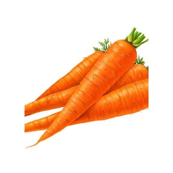 Premium quality carrots freshly harvested and packed for export markets - BMU TRADING GMBH - Germany