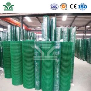 Zhongtai Galvanized PVC Coated Welded Wire Mesh Roll 25.4mm Mesh Size Coated Wire Mesh Rolls China Wholesalers Portable Welded Wire Mesh Metal Fences - Anping Zhongtai Expanded Metal Mesh Co., Ltd. - China
