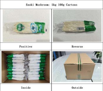 Mushrooms from Hunan Dongcang Trade Co.,Ltd Mushrooms - Hunan Dongcang Trade Co.,Ltd - China
