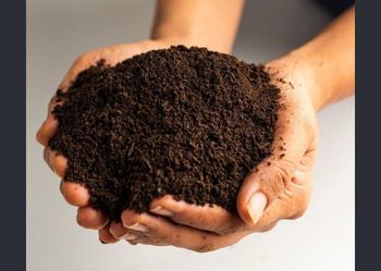 Vermicompost - Alcetra Bioferts Overseas Pvt Ltd - India
