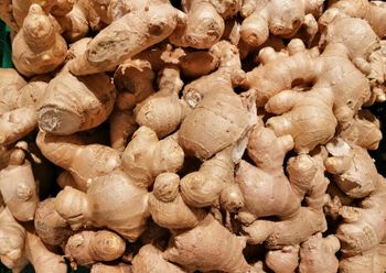 Ginger from PT Cakra Buana Jayantara Ginger – product photo, Ginger products found from trusted suppliers, wholesalers, manufacturers & exporters Listing