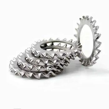 High Quality External Teeth Serrated Lock Washers DIN6798-a, Stainless Steel Washers External Toothed Gasket Serrated Lock Washer - Bolnut Fastener Co., Ltd - China